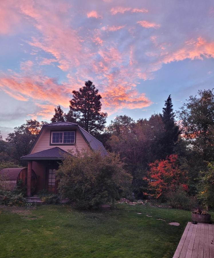 Angel Cottage With A Sauna Or The Cozy With A Jacuzzi Tub, Both Are Studios With A View Of Маунт-Шаста Экстерьер фото