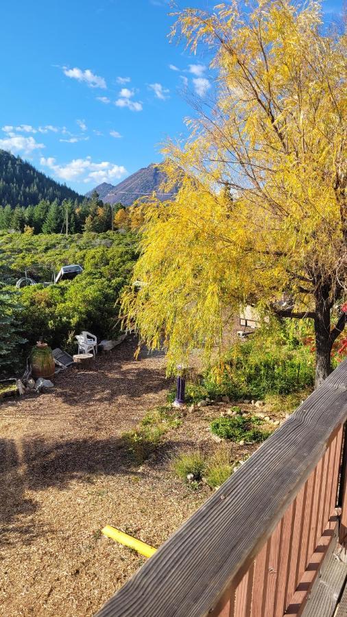 Angel Cottage With A Sauna Or The Cozy With A Jacuzzi Tub, Both Are Studios With A View Of Маунт-Шаста Экстерьер фото