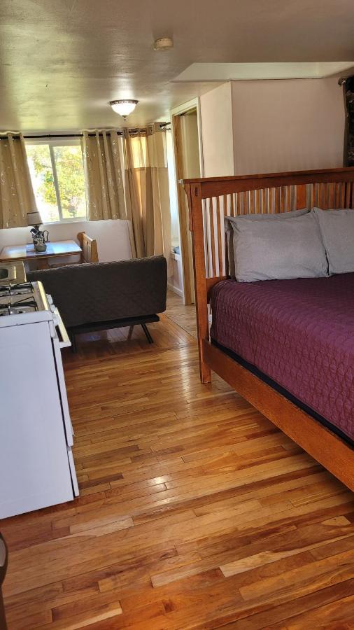 Angel Cottage With A Sauna Or The Cozy With A Jacuzzi Tub, Both Are Studios With A View Of Маунт-Шаста Экстерьер фото